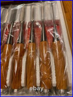 Sukemaru Oire Nomi Japanese Bench Chisels High Speed Steel Set of 10 Red Oak