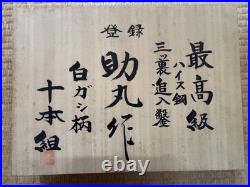 Sukemaru Oire Nomi Japanese Bench Chisels High Speed Steel White oak Set of 10