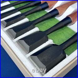 Tadatsuna Japanese Bench Chisels Oire Nomi Black Finish Set of 10 White Steel