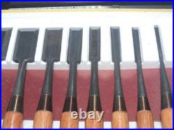 Takara Ryujin Japanese Bench Chisels / Oire Nomi Set of 10 Muramatsu Shigezo