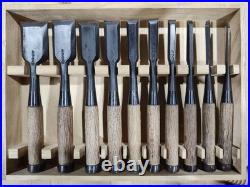 Tasai Akio Fusetsu Oire Nomi Japanese Bench Chisels Set of 10 Used