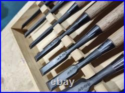 Tasai Akio Fusetsu Oire Nomi Japanese Bench Chisels Set of 10 Used