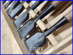 Tasai Akio Fusetsu Oire Nomi Japanese Bench Chisels Set of 10 Very Good