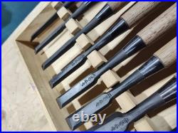 Tasai Akio Fusetsu Oire Nomi Japanese Bench Chisels Set of 10 Very Good