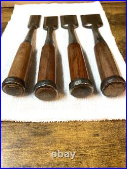 Tasai Akio Japanese Bench Chisel Oire Nomi Set 10pcs with Box