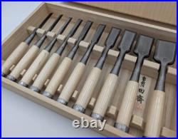 Tasai Akio Japanese Bench Chisels Oire Nomi Polished Finish Set of 10 White oak Tasai Akio Japanese Bench Chisels Oire Nomi Polished Finish Set of 10 White oak