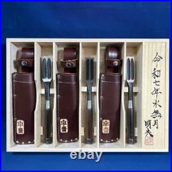 Tasai Akio Japanese Bench Chisels Wakisashi Nomi Blue Steel Rosewood Set of 3 Tasai Akio Japanese Bench Chisels Wakisashi Nomi Blue Steel Rosewood Set of 3