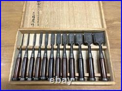 Tasai Japanese Damascus Bench Chisels Mokume Oire Nomi Set of 12 Nenrin + Box