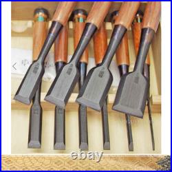 Tasai Japanese Woodworking Chisel Set 10pcs Black Finish Oire Nomi Red Oak Boxed
