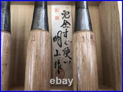 Tasai Oire Nomi Japanese Bench Chisel Set of 10 Meizan with Box
