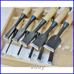 Tasai Oire Nomi Japanese Bench Chisels Fusetsu Set of 10 Black Finish