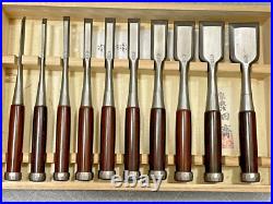 Tasai Oire Nomi Japanese Bench Chisels Mulch Hollows Ura Set of 10 Rosewood