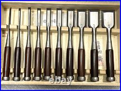 Tasai Oire Nomi Japanese Bench Chisels Mulch Hollows Ura Set of 10 Rosewood New