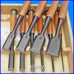Tasai Oire Nomi Japanese Bench Chisels Set of 10 Black Blue Steel Red Oak Tasai Oire Nomi Japanese Bench Chisels Set of 10 Black Blue Steel Red Oak