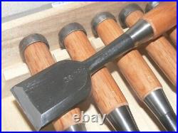 Tasai Oire Nomi Japanese Bench Chisels Set of 10 Blue Steel Shindo Unused