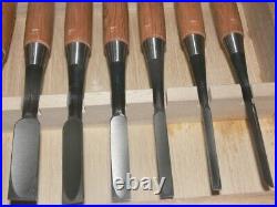 Tasai Oire Nomi Japanese Bench Chisels Set of 10 Blue Steel Shindo Unused