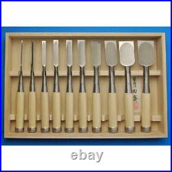 Tasai Oire Nomi Japanese Bench Chisels Set of 10 Polished Finish Blue Steel