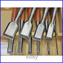 Tasai Oire Nomi Japanese Bench Chisels Set of 10 Polished Finish Red Oak