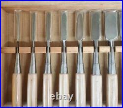 Tasai Oire Nomi Japanese Bench Chisels Set of 10 Polished Finish Wooden Box
