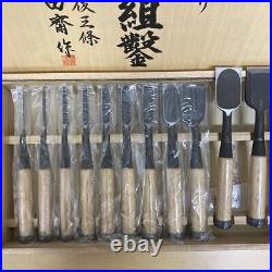 Tasai Oire Nomi Japanese Bench Chisels Set of 11 White Oak Echigo Sanjo With Box