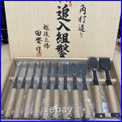 Tasai Oire Nomi Japanese Bench Chisels Set of 11 White Oak Echigo Sanjo With Box