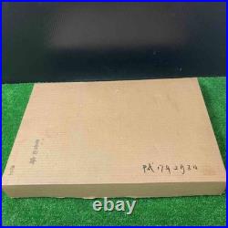 Tasai Oire Nomi Other Set of 10 Japanese Chisel