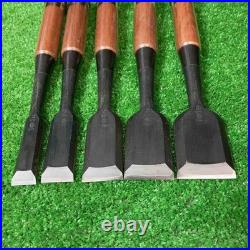 Tasai Oire Nomi Other Set of 10 Japanese Chisel