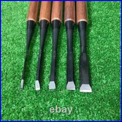 Tasai Oire Nomi Other Set of 10 Japanese Chisel