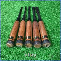 Tasai Oire Nomi Other Set of 10 Japanese Chisel