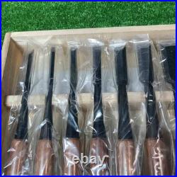 Tasai Oire Nomi Other Set of 10 Japanese Chisel