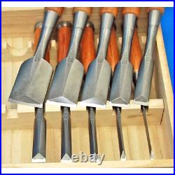 Tasai Shinogi Oire Nomi Japanese Dovetail Bench Chisels Set of 10 Polished