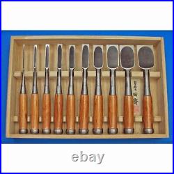 Tasai Shinogi Oire Nomi Japanese Dovetail Bench Chisels Set of 10 Polished