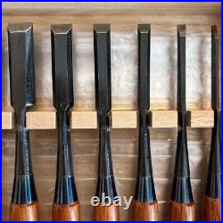 Tenko Oire Nomi Japanese Bench Chisels Set of 10 Red Oak Used