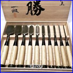 Terukatsu Oire Nomi Japanese Mentori Bench Chisels Set of 10 Yoita Echigo New