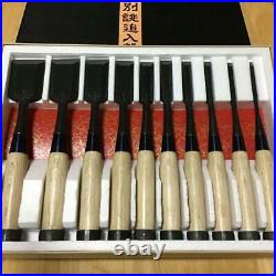 Terumasa Oire Nomi Echigo Carpenter Tool Professional Chisels Lot of 10 Japanese