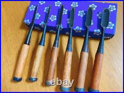 Tokyo Nomi Japanese Chisel Set 6pcs 3mm-18mm Oire Nomi Woodworking Tools