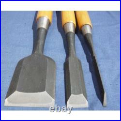 Tsuki Ichihiro Japanese Bench Chisel Oire Nomi Set of 10 White Oak Made by Isamu