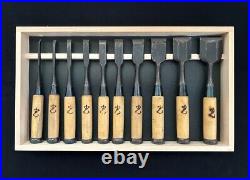 Tsuki Ichihiro Japanese Bench Chisel Oire Nomi Set of 10 White Steel #1