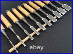 Tsuki Ichihiro Japanese Bench Chisel Oire Nomi Set of 10 White Steel #1