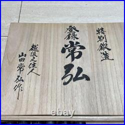 Tsunehiro Oire Nomi Set of 10 Yamada Tsunegoro Japanese Bench Chisels From Japan