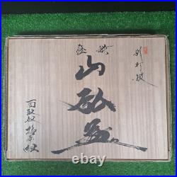Yamahiro Oire Nomi Japanese Bench Chisels Set of 10 White Oak Okayama Takeshi Yamahiro Oire Nomi Japanese Bench Chisels Set of 10 White Oak Okayama Takeshi
