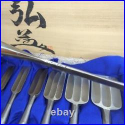 Yamahiro Oire Nomi Japanese Dovetail Bench Chisels Polished Migaki Set of 10