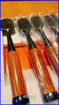 Yoshinaga Oire Nomi Japanese Bench Chisel Set of 10 Red Oak