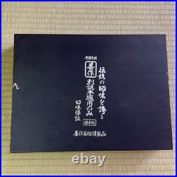 Zensaku Oire Nomi Japanese Bench Chisels Set of 10 Gummiwood WithBox Used